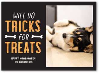 Halloween Cards: Tricks For Treats Halloween Card, Grey, 5X7, Luxe Double-Thick Cardstock, Square