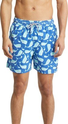 Whale Print Swim Trunks