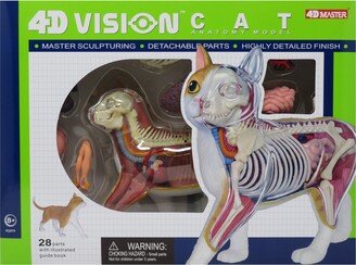 Areyougame 4D Master 4D Vision Orange Cat Anatomy Model