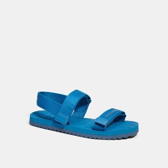Sport Sandal