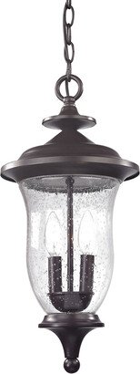 Artistic Home & Lighting Trinity 2-Light Outdoor Pendant-AA