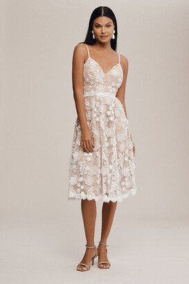 Tahani Fit & Flare Embroidered Midi Dress