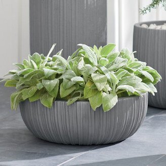 Crete Bowl Planter Pots