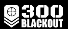 300 Blackout Promo Codes & Coupons