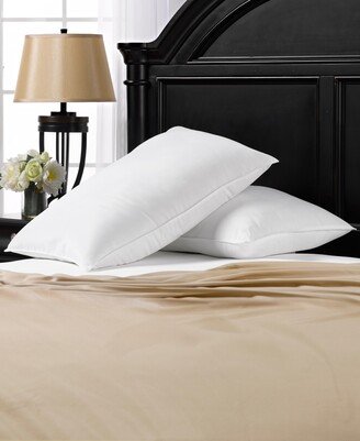 Ella Jayne Signature Plush Allergy-Resistant Soft Density Stomach Sleeper Down Alternative Pillow, Standard - Set of 2