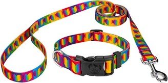 Country Brook Petz Deluxe Rainbow Hearts Dog Collar and Leash (1/2 Inch, Mini)