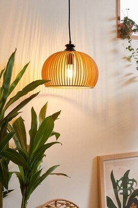 Caged Wood Pendant Light