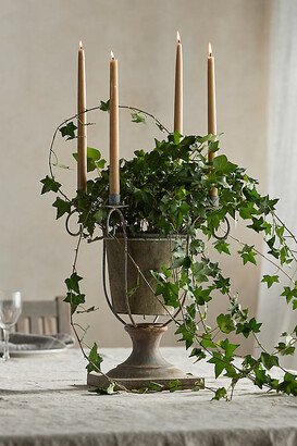 Candelabra Plant Stand