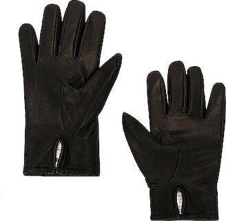 Lux Gloves in Black