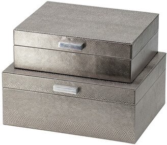 R16 Silver Snakeskin Metallic Box Set