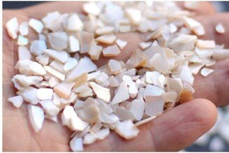 200Pcs Crushed Shell White Chips Mop Px028