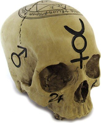 Alchemical Mystic Skull