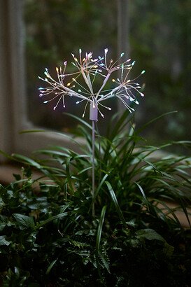 LED Multicolor Starburst Stake Light