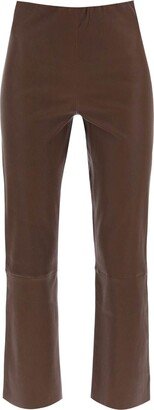 florentina leather pants