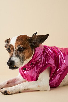 Dog Puffer Coat