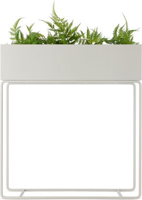 Gray Plant Box