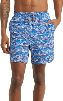 Dark & Stormy Swim Trunks