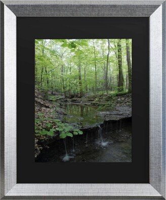 Kurt Shaffer Tiny Forest Falls Matted Framed Art - 27 x 33