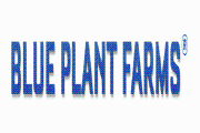 Blue Plant Farms Promo Codes & Coupons