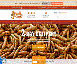 Chubby Mealworms Promo Codes & Coupons