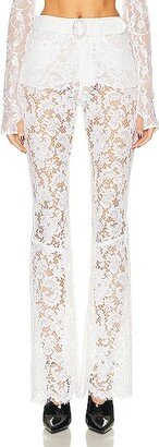 Lace Flare Trouser in White