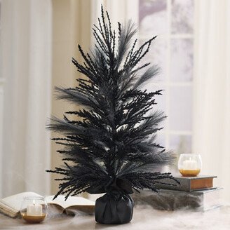 Black Pampas Tabletop Tree