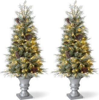 4' Pre-Lit Pine Artificial Christmas Porch Tree with 130 Warm White Lights, Set of 2