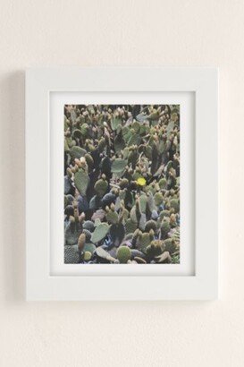 Catherine McDonald Cactus Field Art Print