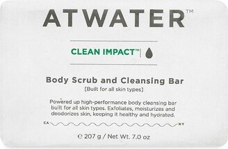 Clean Impact Body Scrub & Cleansing Bar