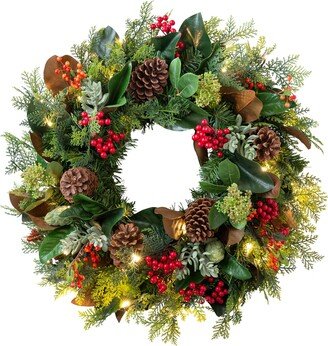 Balsam Hill Magnolia Ridge Artificial LED Light Outdoor Wreath