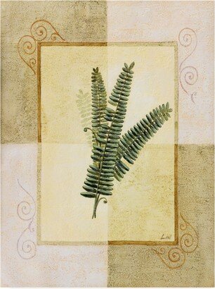 Pablo Esteban Fern Leaf Framed 3 Canvas Art - 19.5 x 26