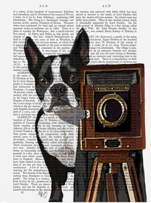 Fab Funky Boston Terrier Photographer Camera Canvas Art - 36.5 x 48