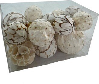 India House Brass Mixed Texture Orbs Carton Large 15pc Natural - 2-4