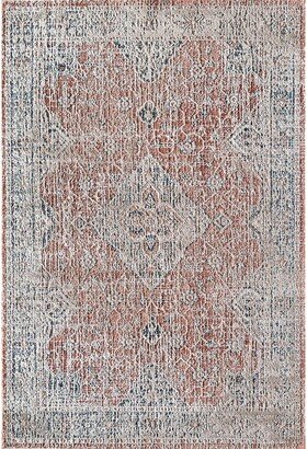 Cora CL60B Jupiter Glow Transitional Vintage Rust Area Rug,