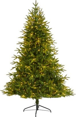 Colorado Mountain Fir Natural Look Artificial Christmas Tree with Lights and Bendable Branches, 78