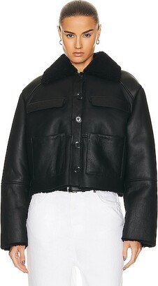 Bugur Shearling Jacket in Black