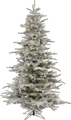 6.5' Flocked Sierra Fir Artificial Christmas Tree with 550 Warm White Led Lights