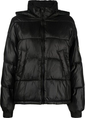 Padded Hooded Jacket-BM