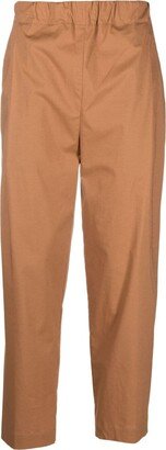 Stretch-Cotton Tapered Trousers-AC