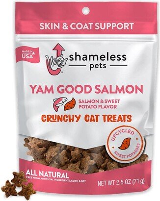 Shameless Pets Cat Treats - Crunchy Treats for Cats with Catnip, Coat, & Digestive Support, Sustainable Upcycled Natural Ingredients & Real Meat, Low