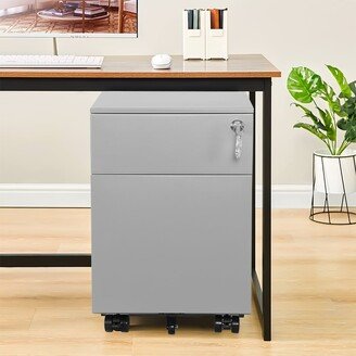 Calnod Grey Steel File Cabinet with Lock - 2 Drawers, Universal Wheels - Legal/Letter Documents