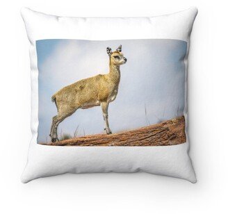 Klipspringer Pillow - Throw Custom Cover Gift Idea Room Decor