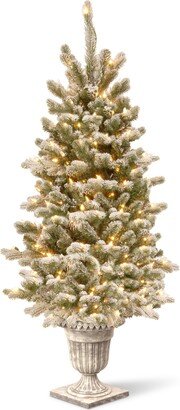 National Tree Company Pre-lit Artificial Christmas Tree For Entrances| Includes Pre-strung White Lights | Sheffield Spruce - 4 ft