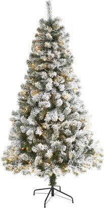 6ft Pre-Lit LED Flocked West Virginia Fir Artificial Christmas Tree Clear Lights