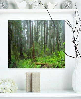 Designart 'Hoh Rain Forest' Landscape Photography Metal Wall Art - 20 X 12