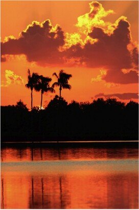 Dana Brett Munich Red Sky at Night Tropical Canvas Art - 15.5 x 21