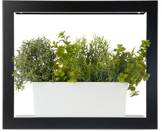 Black Smart Growframe Planter