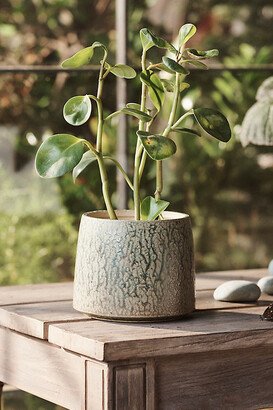 Terrain,6 needs inches mark in display name Drippy Ceramic Planter, 6