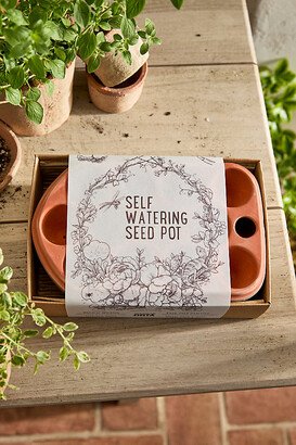 Self-Watering Seed Pot