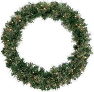 Northlight Pre-Lit Oregon Cashmere Pine Artificial Christmas Wreath, 36-Inch, Clear Lights